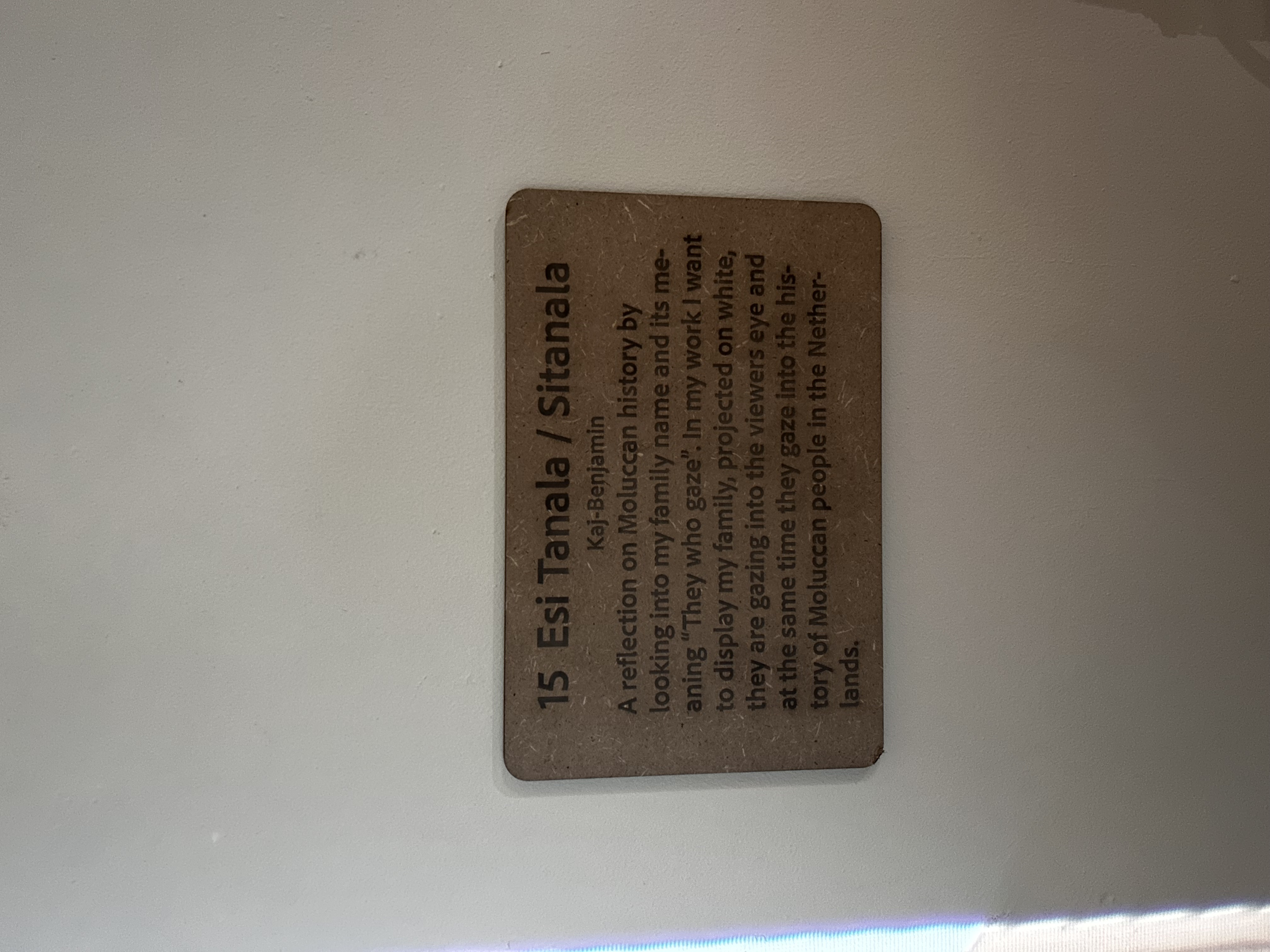The name plate and description of my work hung next to my work